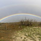 double rainbow